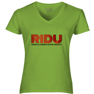 Kaos RIDU
