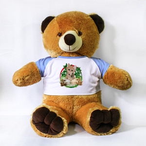 Boneka Beruang Meow