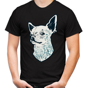 Kaos Chihuahua