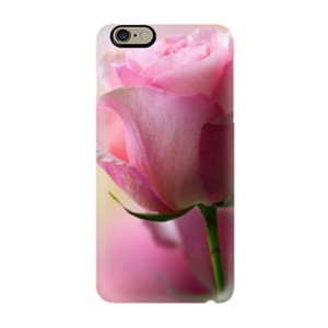 rose Casing HP