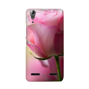 rose Casing HP