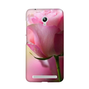 rose Casing HP