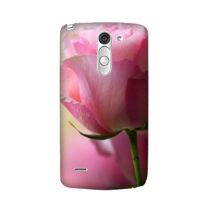 rose Casing HP