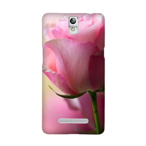 rose Casing HP