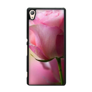 rose Casing HP