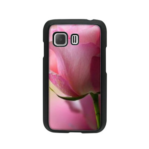 rose Casing HP