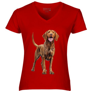 Kaos Kaos Gambar Anjing 451