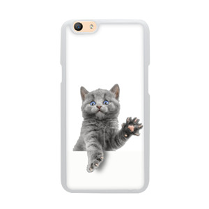 Cat Trapped Casing HP