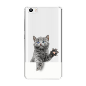 Cat Trapped Casing HP