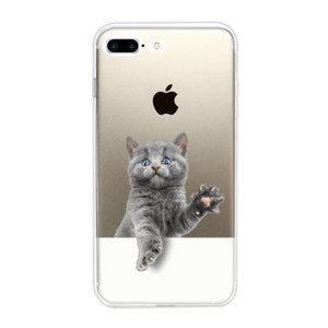 Cat Trapped Casing HP