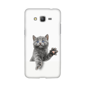 Cat Trapped Casing HP