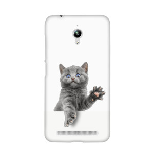 Cat Trapped Casing HP