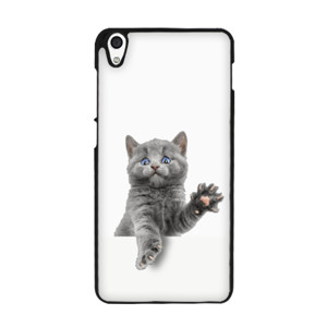 Cat Trapped Casing HP