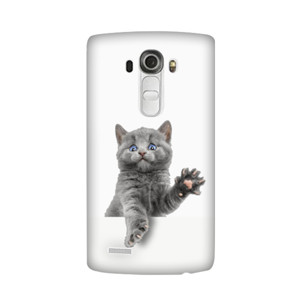 Cat Trapped Casing HP