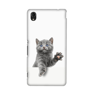 Cat Trapped Casing HP