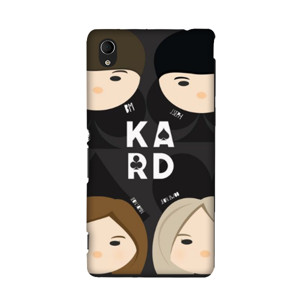 KARD-01 Casing HP