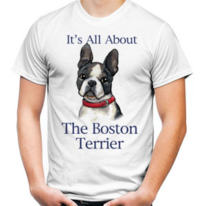 Kaos All About Boston Terrier