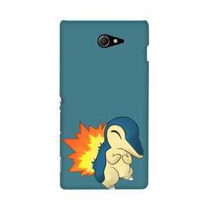 Cyndaquil Hardcase  Casing HP