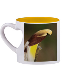 Mug Lesser Bird of Paradise