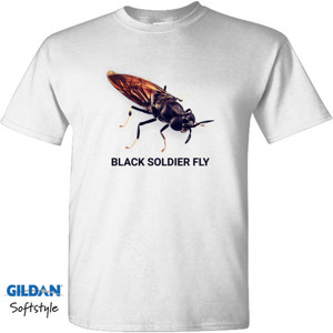 Kaos Black Soldier Fly