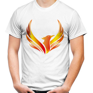 Kaos Fire Bird