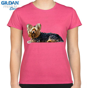 Kaos Kaos Yorkshire Terrier