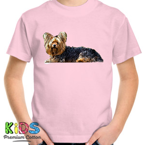 Kaos Kaos Yorkshire Terrier