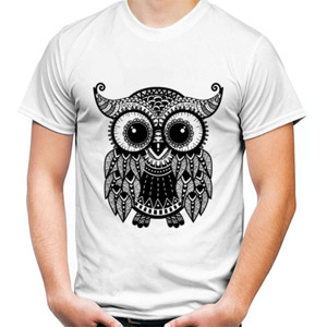 Kaos The Owl - Cute