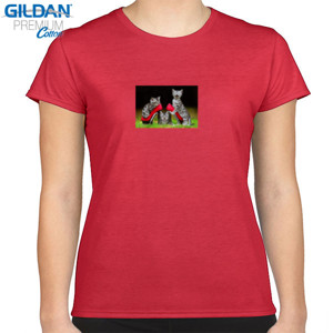 Kaos hoodie 1 keluarga kucing