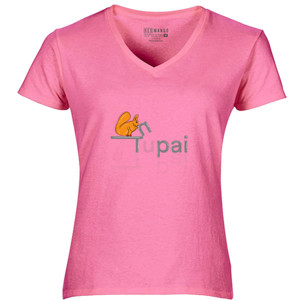 Kaos Tupai