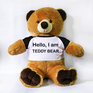 Boneka Beruang teddy bear