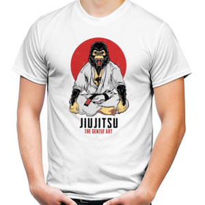 Kaos jiujitsu