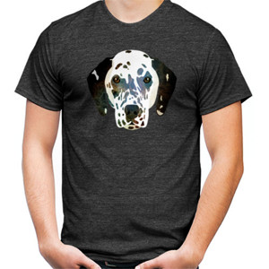 Kaos dog