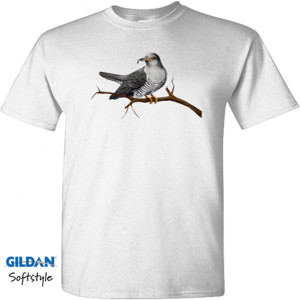 Kaos Bird Artworks 4  