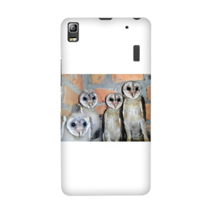 Baby Owls Casing HP