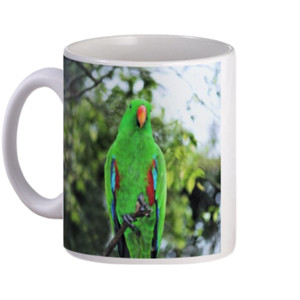 Mug Burung Hijau
