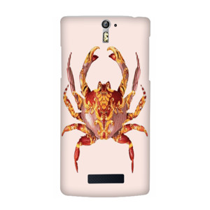 King Crab Edition Casing HP