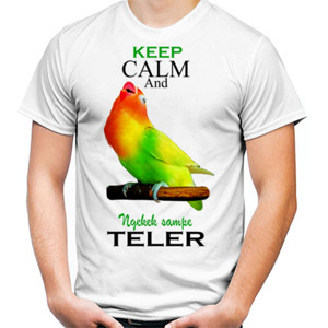 Kaos Lovebird