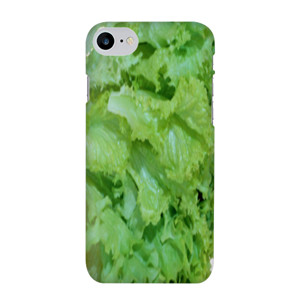 Selada Casing HP