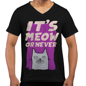 Kaos  ITS MEOW OR NEVER