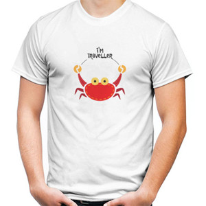 Kaos i am traveller