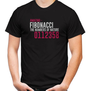 Kaos FIBONACCI FAN ART #05