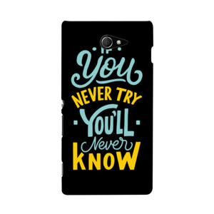 If You Never Tyr You'll Never Know Casing HP