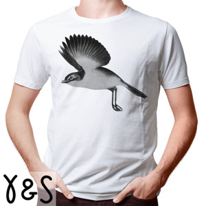 Kaos burung albania