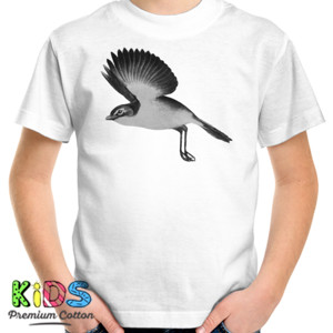 Kaos burung albania