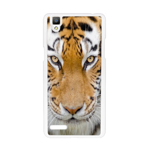 casing tiger Casing HP