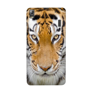 casing tiger Casing HP
