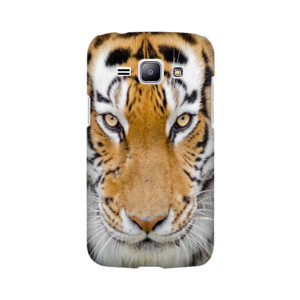 casing tiger Casing HP