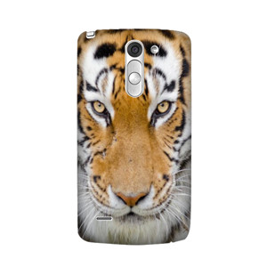 casing tiger Casing HP