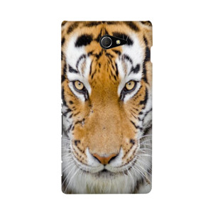 casing tiger Casing HP